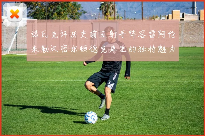 诺瓦克评历史前五射手阵容雷阿伦米勒汉密尔顿德克库里的独特魅力与影响