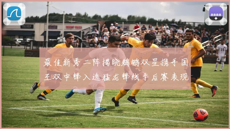 最佳新秀二阵揭晓鹈鹕双星携手国王双中锋入选猛龙锋线季后赛表现抢眼